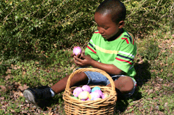 Easter Party Egg Hunt